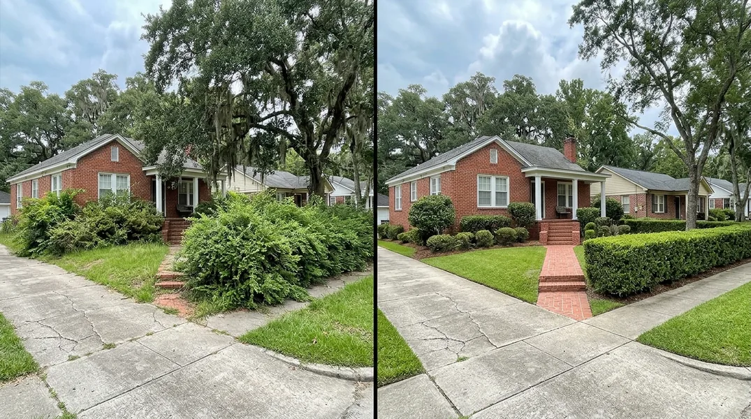 Tree Trimming vs Tree Removal: When a Baton Rouge Oak Can Still Be Saved